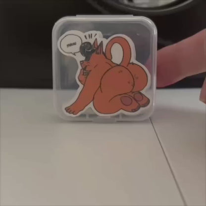 SPECIAL - Mini Pack